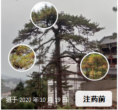fd98ce3dd01ddaf739193fe83aa457f.png