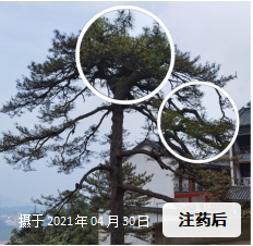 e2c9098386becad90de0761e452a049.png