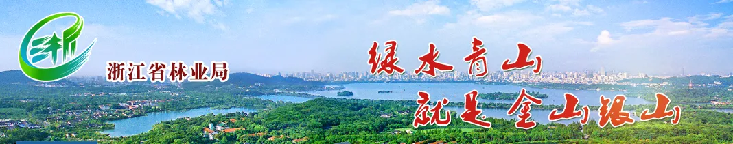 浙江林业.png